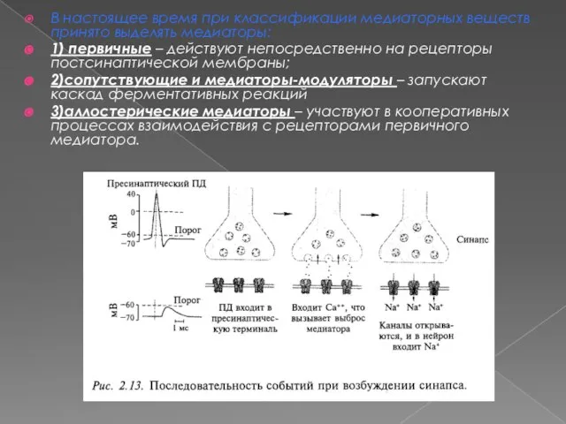 В настоящее время при классификации медиаторных веществ принято выделять медиаторы: 1) первичные