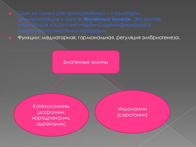 Одни из самых распространённых – медиаторы, принадлежащие к группе биогенных аминов. Эта