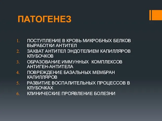 ПАТОГЕНЕЗ ПОСТУПЛЕНИЕ В КРОВЬ МИКРОБНЫХ БЕЛКОВ ВЫРАБОТКИ АНТИТЕЛ ЗАХВАТ АНТИТЕЛ ЭНДОТЕЛИЕМ КАПИЛЛЯРОВ