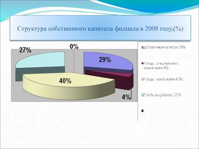 Структура собственного капитала филиала в 2008 году,(%)