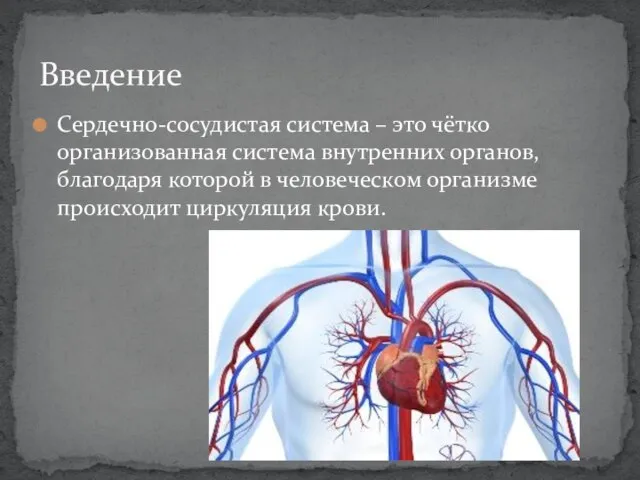 Сердечно-сосудистая система – это чётко организованная система внутренних органов, благодаря которой в