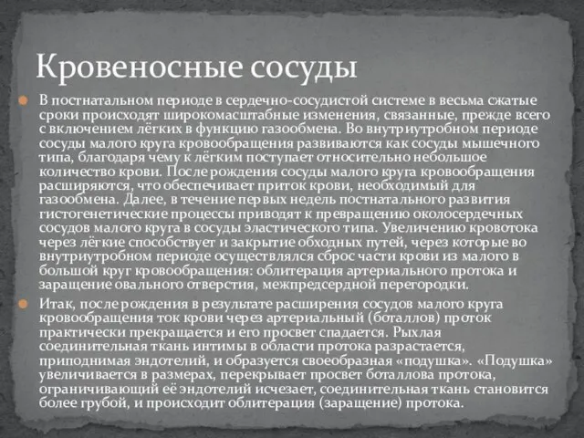 В постнатальном периоде в сердечно-сосудистой системе в весьма сжатые сроки происходят широкомасштабные