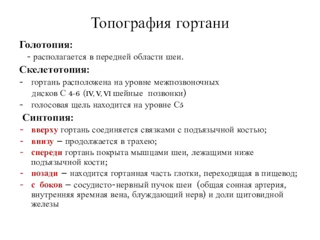 Топография гортани Голотопия: - располагается в передней области шеи. Скелетотопия: гортань расположена