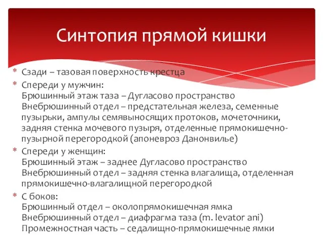 Сзади – тазовая поверхность крестца Спереди у мужчин: Брюшинный этаж таза –