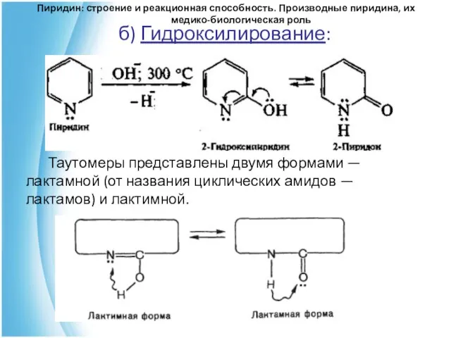 б) Гидроксилирование: Таутомеры представлены двумя формами — лактамной (от названия циклических амидов