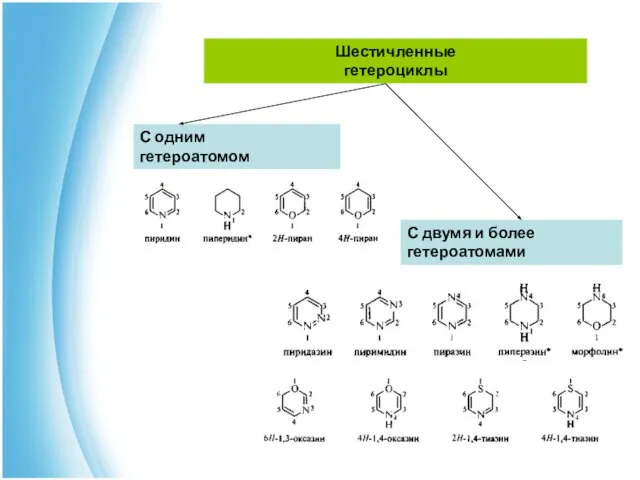 Шестичленные гетероциклы С одним гетероатомом С двумя и более гетероатомами