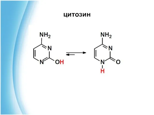цитозин