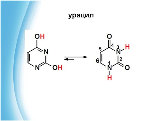 урацил