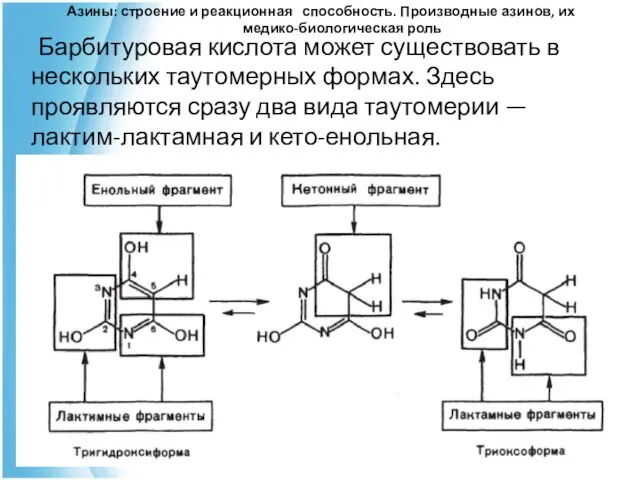 Азины: строение и реакционная способность. Производные азинов, их медико-биологическая роль Барбитуровая кислота