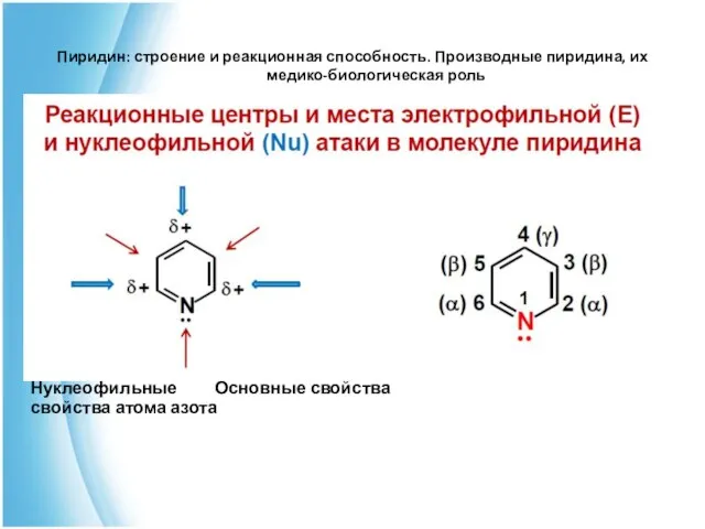 Пиридин: строение и реакционная способность. Производные пиридина, их медико-биологическая роль Основные свойства Нуклеофильные свойства атома азота