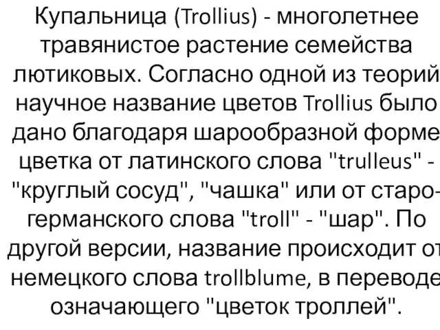 Купальница (Trollius) - многолетнее травянистое растение семейства лютиковых. Согласно одной из теорий