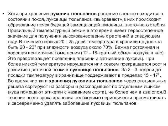 Хотя при хранении луковиц тюльпанов растение внешне находится в состоянии покоя, луковицы