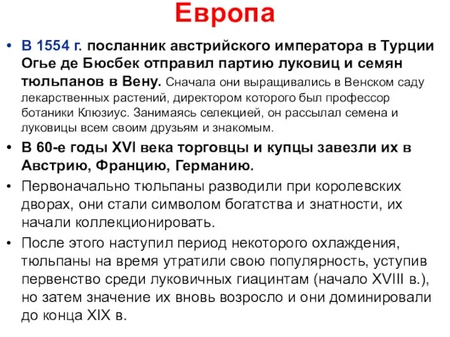 Европа В 1554 г. посланник австрийского императора в Турции Огье де Бюсбек