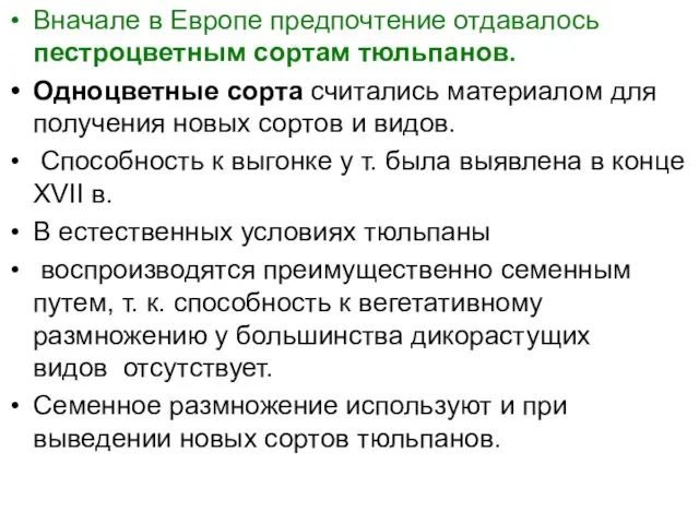 Вначале в Европе предпочтение отдавалось пестроцветным сортам тюльпанов. Одноцветные сорта считались материалом