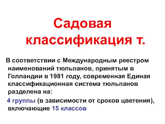 Садовая классификация т. В соответствии с Международным реестром наименований тюльпанов, принятым в