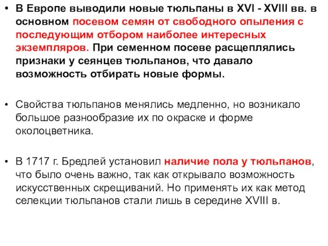 В Европе выводили новые тюльпаны в XVI - XVIII вв. в основном