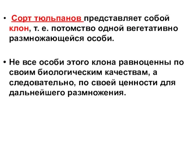 Сорт тюльпанов представляет собой клон, т. е. потомство одной вегетативно размножающейся особи.