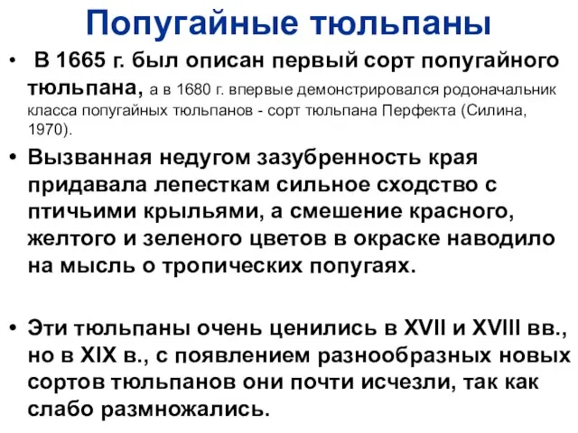 Попугайные тюльпаны В 1665 г. был описан первый сорт попугайного тюльпана, а