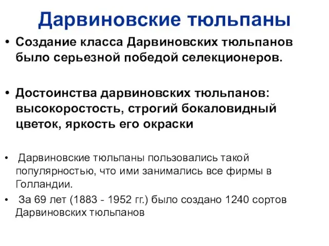 Дарвиновские тюльпаны Создание класса Дарвиновских тюльпанов было серьезной победой селекционеров. Достоинства дарвиновских