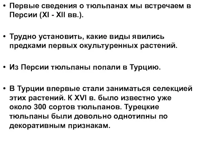 Первые сведения о тюльпанах мы встречаем в Персии (XI - XII вв.).