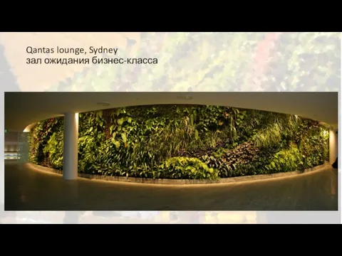 Qantas lounge, Sydney зал ожидания бизнес-класса