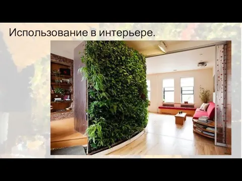 Использование в интерьере.