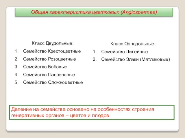 Класс Двудольные: Семейство Крестоцветные Семейство Розоцветные Семейство Бобовые Семейство Пасленовые Семейство Сложноцветные