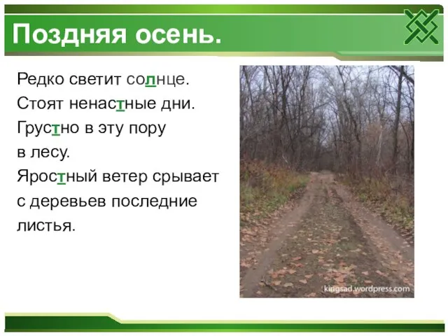 Поздняя осень. Редко светит солнце. Стоят ненастные дни. Грустно в эту пору