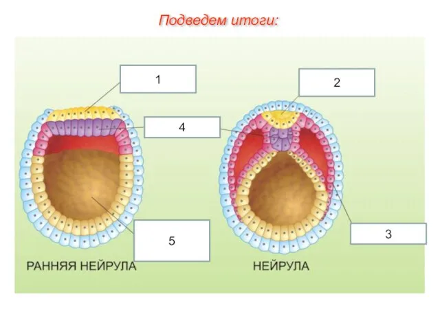 1 2 3 4 5 Подведем итоги: