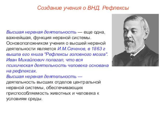 Создание учения о ВНД. Рефлексы Высшая нервная деятельность — еще одна, важнейшая,