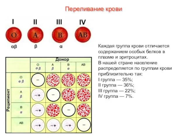 Каждая группа крови отличается содержанием особых белков в плазме и эритроцитах. В