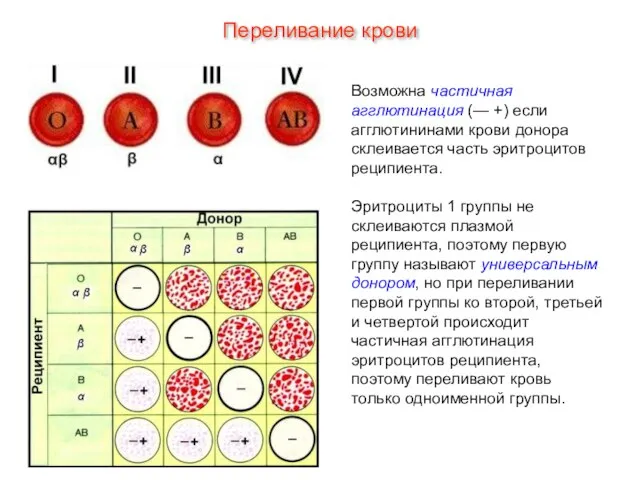 Возможна частичная агглютинация (— +) если агглютининами крови донора склеивается часть эритроцитов