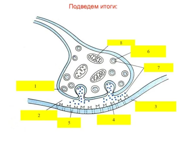 1 2 3 4 5 6 7 8 Подведем итоги: