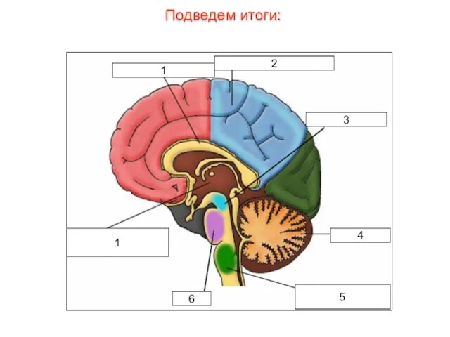 1 2 3 4 5 6 1 Подведем итоги: