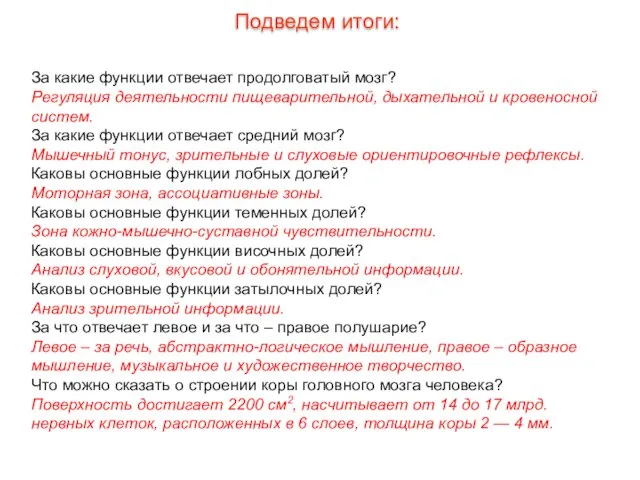 За какие функции отвечает продолговатый мозг? Регуляция деятельности пищеварительной, дыхательной и кровеносной