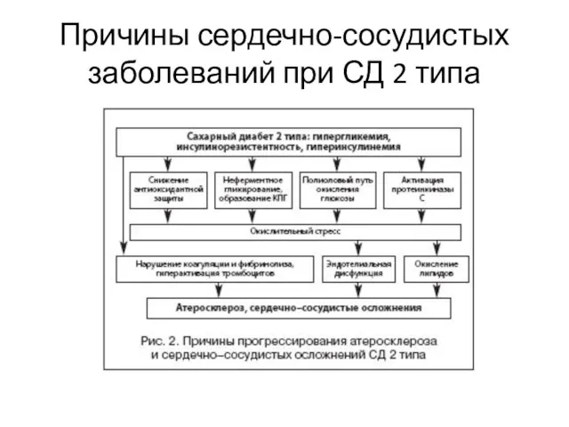 Причины сердечно-сосудистых заболеваний при СД 2 типа