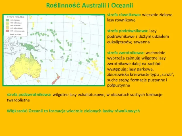 Roślinność Australii i Oceanii strefa równikowa: wiecznie zielone lasy równikowe strefa podrównikowa: