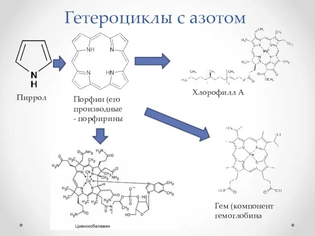 Гетероциклы с азотом Пиррол Порфин (его производные - порфирины Хлорофилл А Гем (компонент гемоглобина