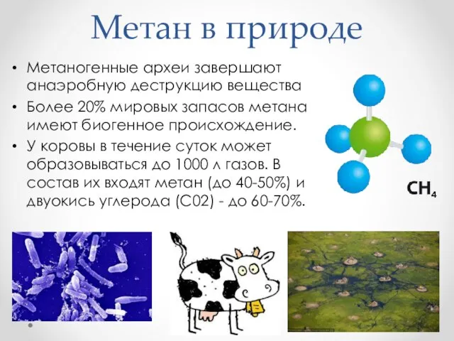 Метан в природе Метаногенные археи завершают анаэробную деструкцию вещества Более 20% мировых