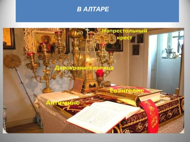 В АЛТАРЕ