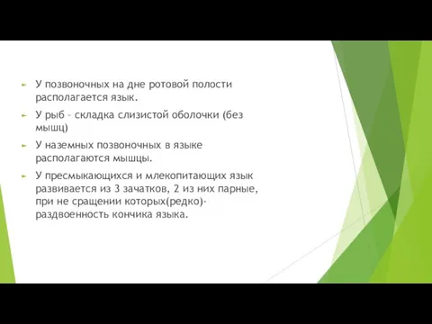 У позвоночных на дне ротовой полости располагается язык. У рыб – складка