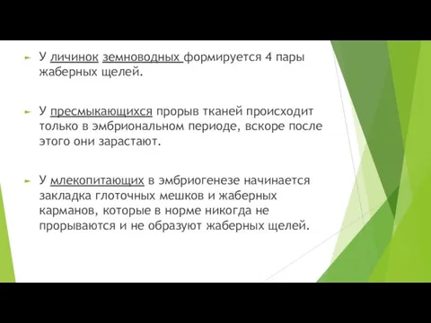 У личинок земноводных формируется 4 пары жаберных щелей. У пресмыкающихся прорыв тканей