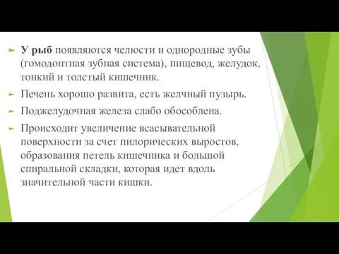 У рыб появляются челюсти и однородные зубы (гомодонтная зубная система), пищевод, желудок,