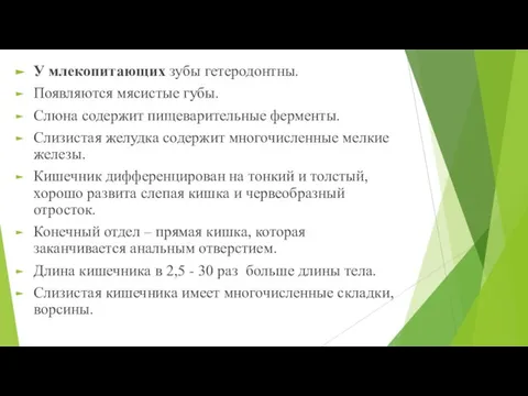 У млекопитающих зубы гетеродонтны. Появляются мясистые губы. Слюна содержит пищеварительные ферменты. Слизистая