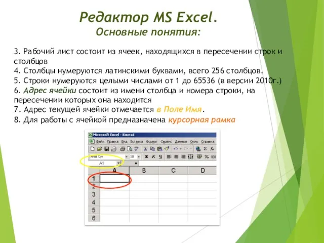 Редактор MS Excel. Основные понятия: 3. Рабочий лист состоит из ячеек, находящихся