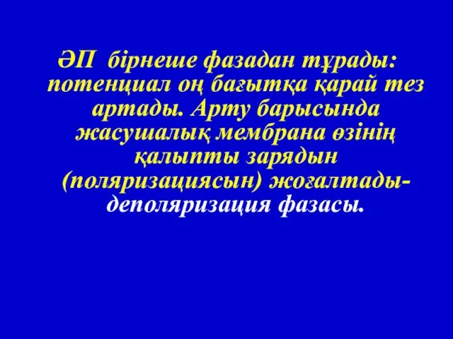 ӘП бірнеше фазадан тұрады: потенциал оң бағытқа қарай тез артады. Арту барысында