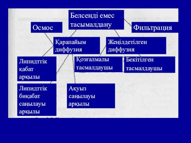 Белсенді емес тасымалдану Фильтрация Осмос Қарапайым диффузия Жеңілдетілген диффузия Липидттік қабат арқылы