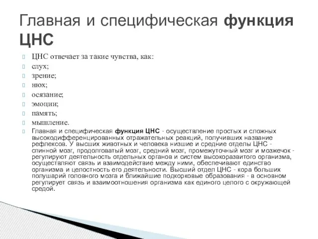 ЦНС отвечает за такие чувства, как: слух; зрение; нюх; осязание; эмоции; память;