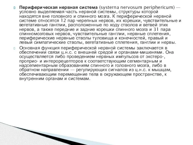 Периферическая нервная система (systerna nervosum periphericum) — условно выделяемая часть нервной системы,