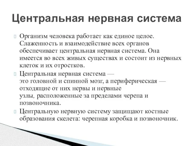 Организм человека работает как единое целое. Слаженность и взаимодействие всех органов обеспечивает